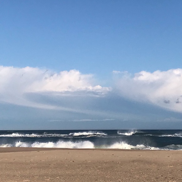 Meet your Posher, Ava - Picture 7 of 8